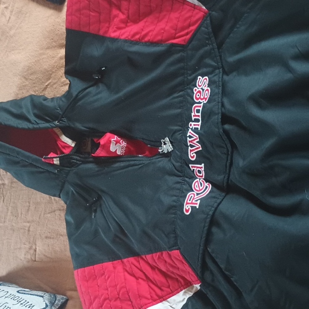 Vintage Detroit Red Wings Starter pullover 1/4 zip